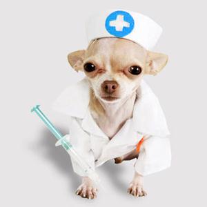 Ветпомощь на дому Инкермана